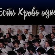 Кровь Есть Кровь