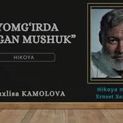 Ernest Xeminguey Yomģirda Qolgan Mushuk