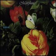 Morphine The Best Of Full Album