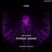 Puple Widpw