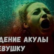 Видео Секса Акула Ест Акулу Мультик