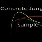 Marley Concrete Jungle Sample