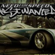 Everybody Can Size Up Need For Speed