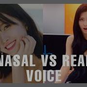 Momo Real Voice