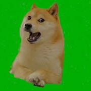 Doge Green Screen