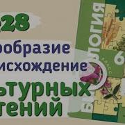 Разнообразие И Происхождение Культурных Растений 7 Класс