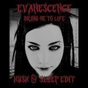 Evanescence Bring Me To Life Hush And Sleep Mash Up