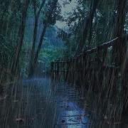 雨声助眠