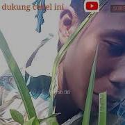 Wik Di Hutan