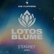 Die Flippers Lotosblume Stereoact Remix