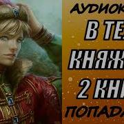 Попаданцы В Теле Княжича 2 Книга