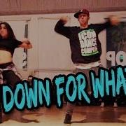 Turn Down For What Dj Snake Ft Lil Jon Dance Mattsteffanina