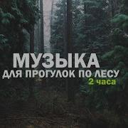 Природа И Музыка Для Прогулок По Лесу И Душевного Успокоения