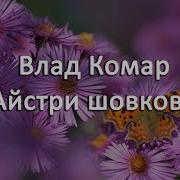 Айстри Айстри Шовкові