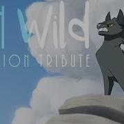 Run Wild Animation