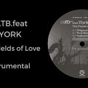 The Fields Of Love Instrumental Atb York