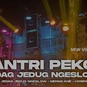 Dj Santri Pekok