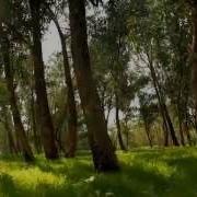 Peder B Helland Echoes Of The Forest Official Video