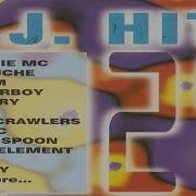 Dj Hits Vol 29 1995