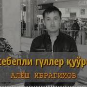 Сен Себепти Гулдер Курадай