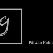 Palwan Halmyradow Ady Name