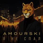 Я Не Спал Amourski