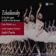 Swan Lake Op 20 1988 Remastered Version Act Iv 28 Scene André Previn