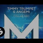 Timmy Trumpet Collab Bro