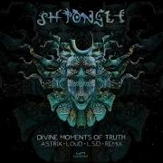 Shpongle Divine Moments Of Truth Astrix Loud L S D Remix