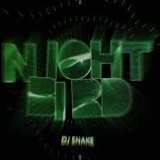 Dj Snake Night Bird