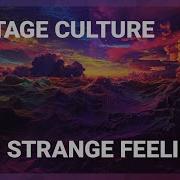 Strange Feelings Extended Vintage Culture