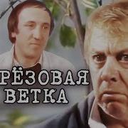 Берёзовая Ветка