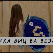 Аса Муха Виц Ва Веза Хьо