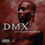 Dmx For My Dogs