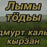 Лымы Теди Минус