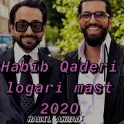 Habib Qaderi Mast Wedding Mix Logari Super Mast