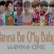 Wanna Be My Baby Wanna One