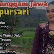 Pop Jawa Campursari Full Album Bass Glerr Cocok Untuk Cek Sound Hajatan Langgam Campursari