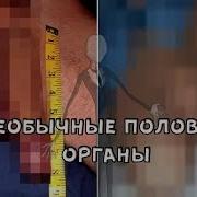 Видео Секса Ххх Мега Вагина Соло В Глубину