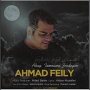 Ahmad Feyli Delroba