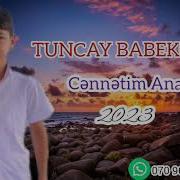 Tuncay Babekoglu Anam