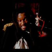 Lucky Dube Feel Irie