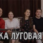 Ночка Луговая