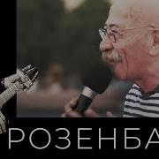 Розенбаум Зина Флот