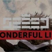 Seeed Wonderful Life Aargh Video