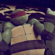 Ninja Turtles Centuries