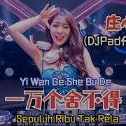 庄心妍 一万个舍不得 Dj Remix