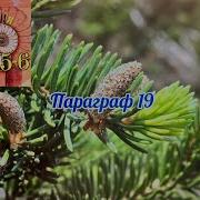 19 Параграф По Биологии 5 Класс 19 Параграф