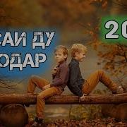 Киссахои 2019