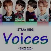 Skz Voices Lyrics